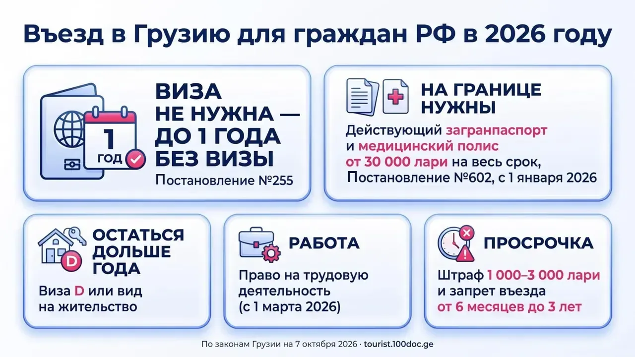 Инфографика: россиянам виза в Грузию не нужна — до 1 года; на границе нужны загранпаспорт и полис от 30 000 лари; дольше года — виза D; для работы — право на трудовую деятельность; просрочка — штраф 1 000–3 000 лари
