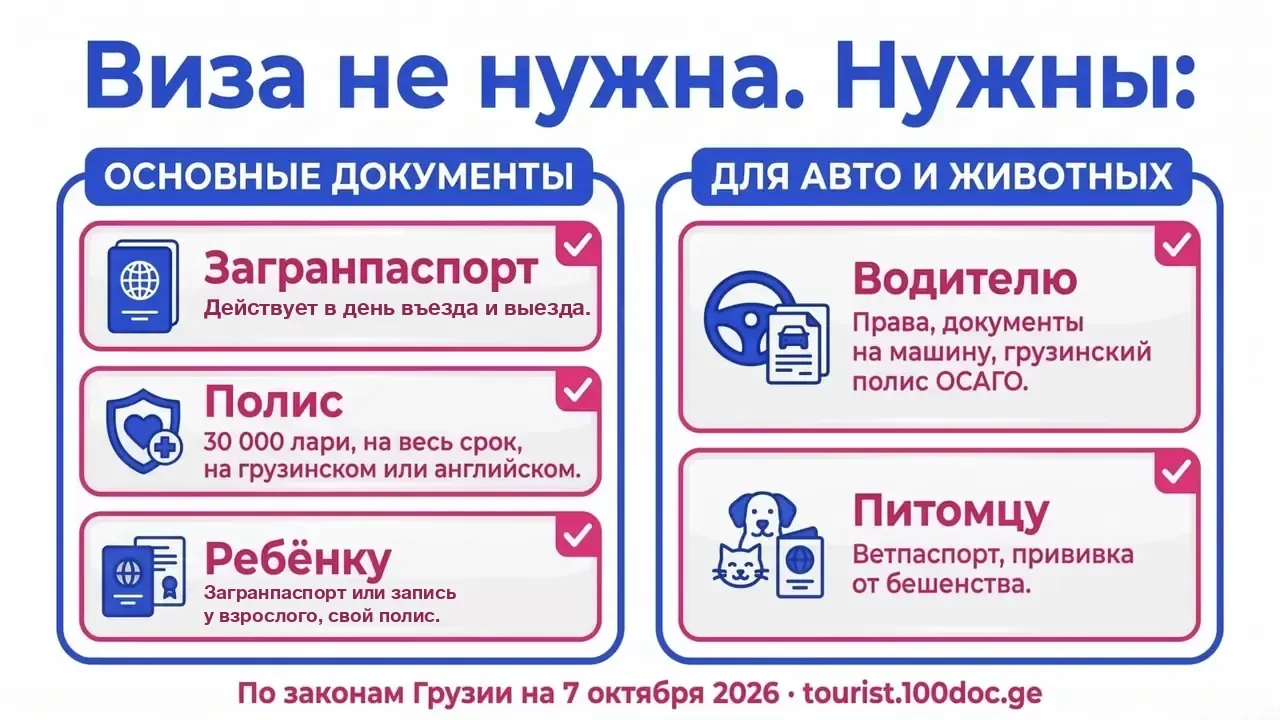 Инфографика: чек-лист документов для въезда в Грузию — загранпаспорт, действующий в день въезда и выезда, полис на 30 000 лари, загранпаспорт или запись у взрослого и полис ребёнку, документы водителя и питомца