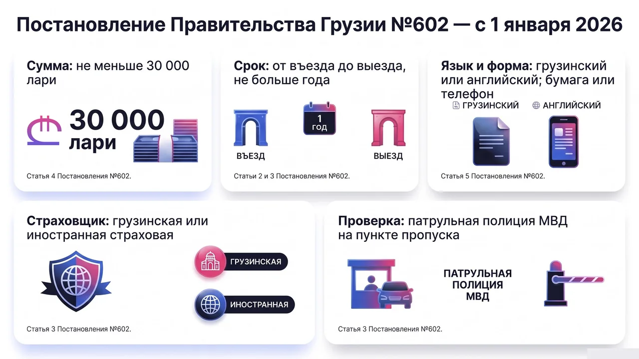 Схема: требования к полису по статьям Постановления Правительства Грузии №602 — сумма, срок, язык и форма, страховщик, кто проверяет